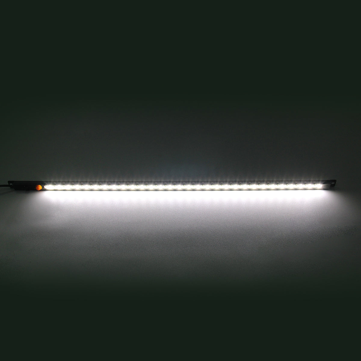 12V-Dimmable Dual Color LED Light Strips(Amber+White)