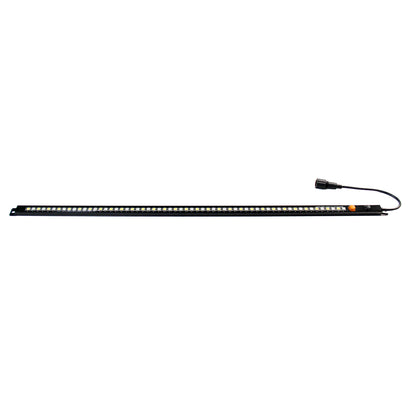 12V-Dimmable Dual Color LED Light Strips(Amber+White)